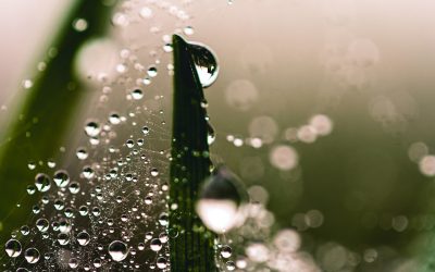 Az vagyok én, ahogy kapcsolódom