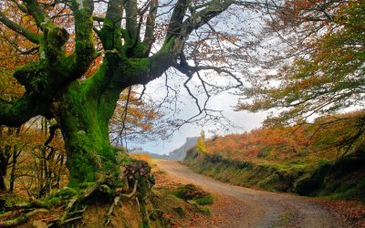 SZABADULÁS A BÖRTÖNÜNKBŐL 3 SZINTEN avagy Önismeret in-Depth II.	rész