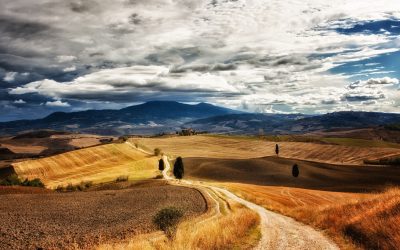 Minek nekünk El Camino, ha itt a COVID-19?