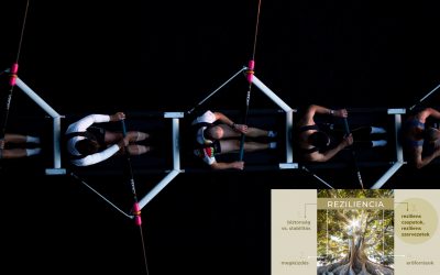 Reziliens csapatok, reziliens szervezet