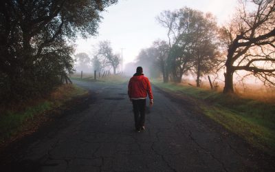 Döntések és az agilitás